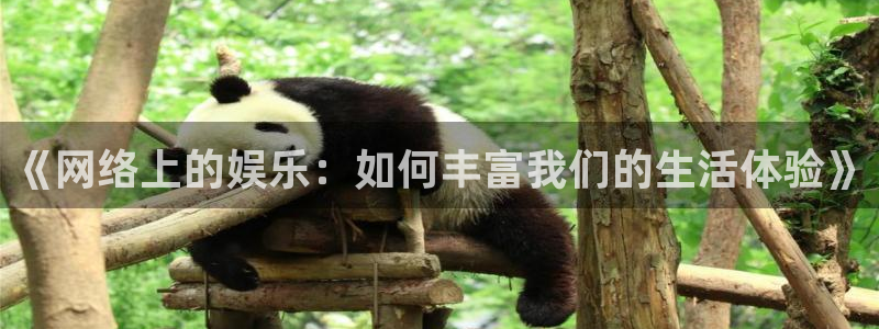 888贵宾会官网：《网络上的娱乐：如何丰富我们的生活体验》