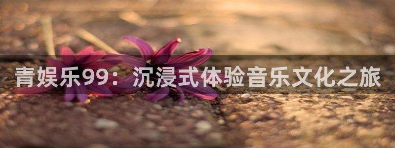 888贵宾会官网：青娱乐99：沉浸式体验音乐文化之旅