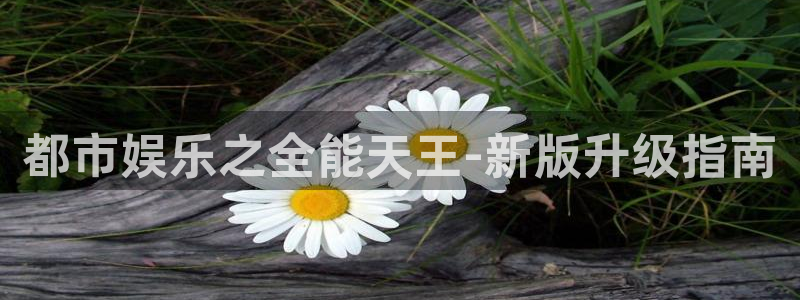 888贵宾会官网